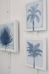 Indigo Palm II