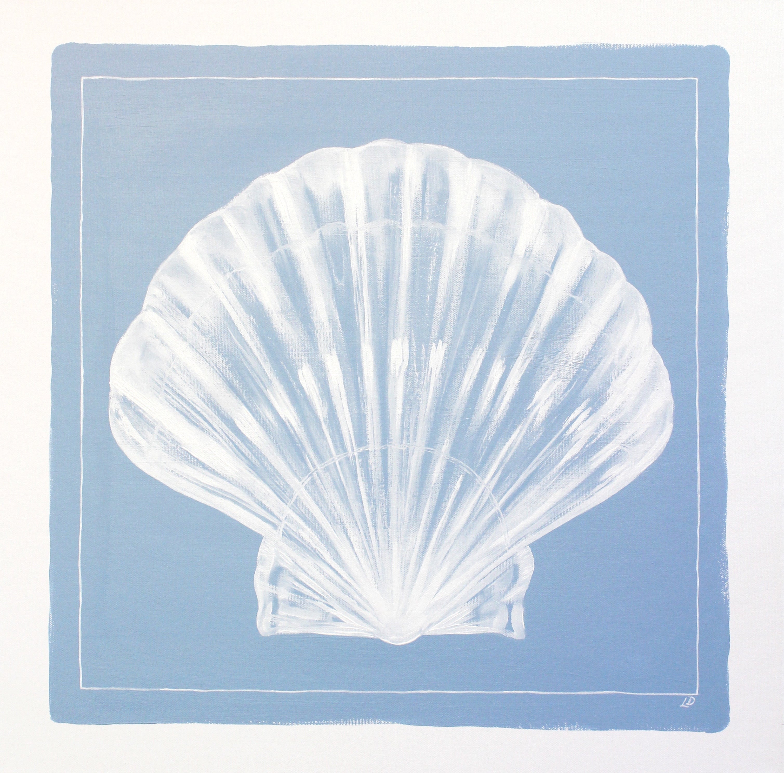 Scallop Shell on Blue