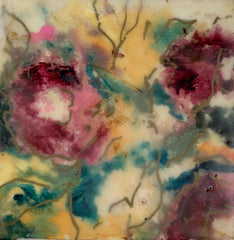 Rose Garden III