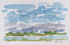 Lowcountry IX