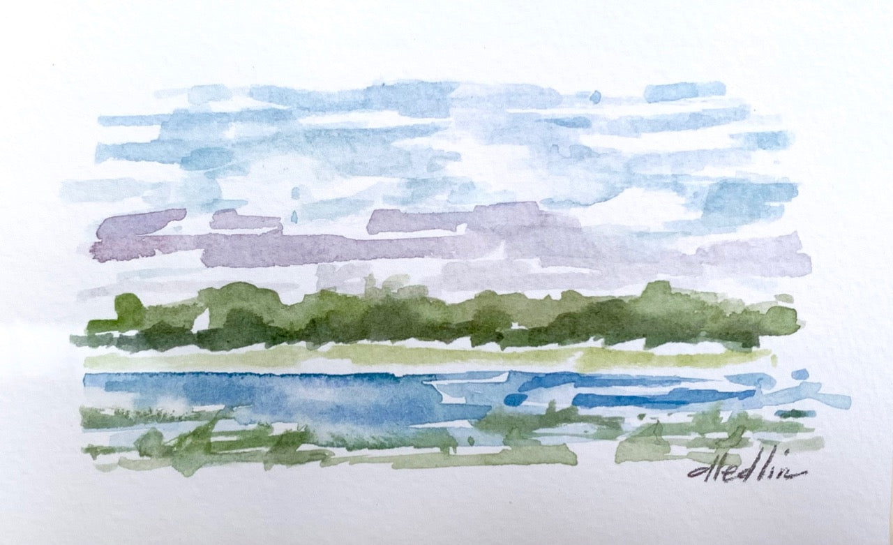 Lowcountry III