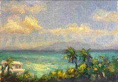 Caribbean View
