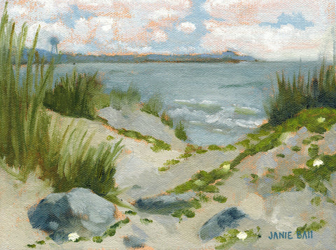 Morning Glory Morning