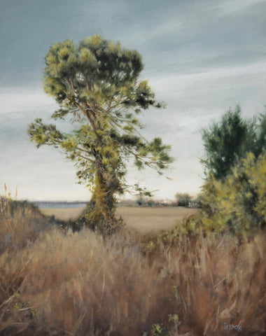 My Favorite Walk, Sullivan's