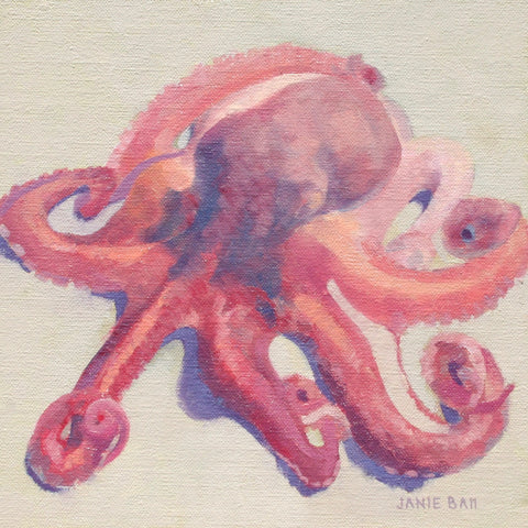 Octopus