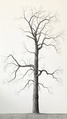 Shelby Park II (Psalm 40/17)