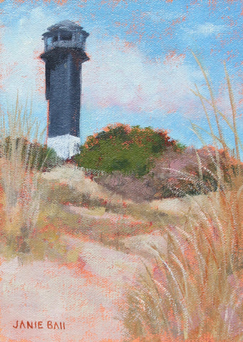 Sullivan's Island Beach Path