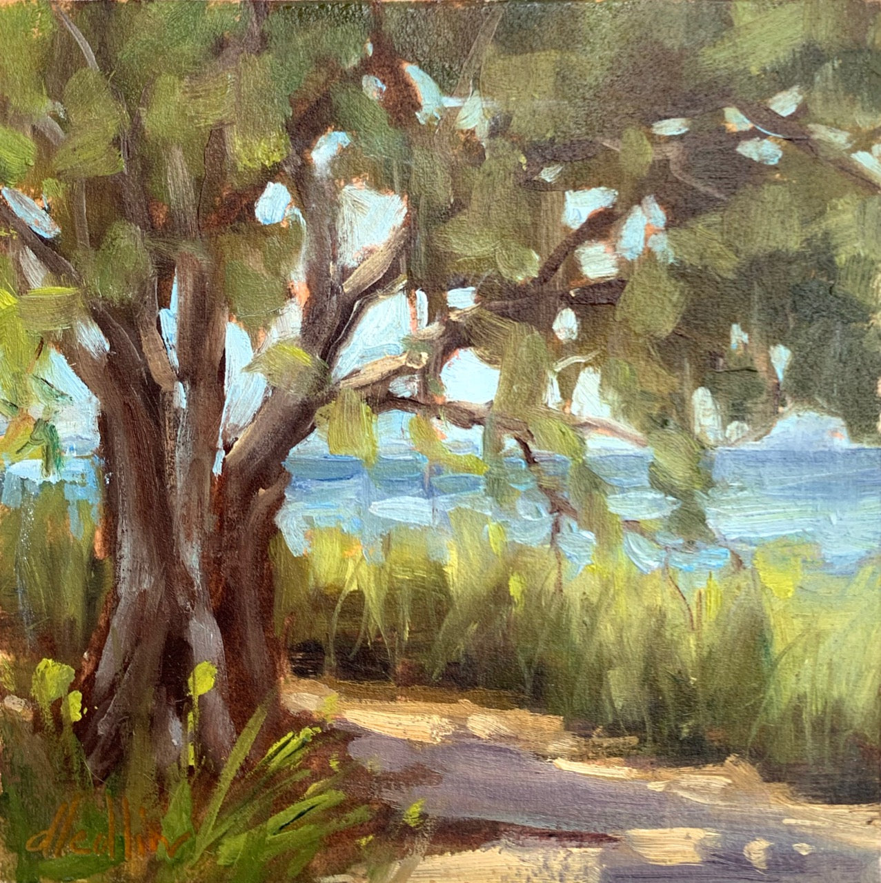 Shady Oak