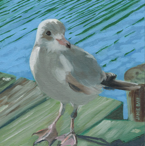 Shem Creek Companion