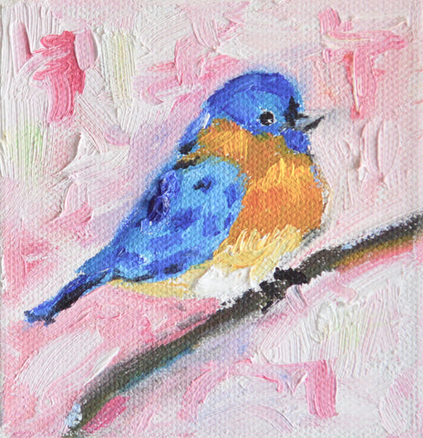 Bluebird in Pink