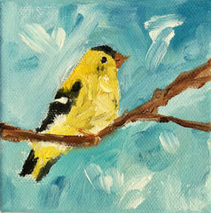 Little Goldfinch