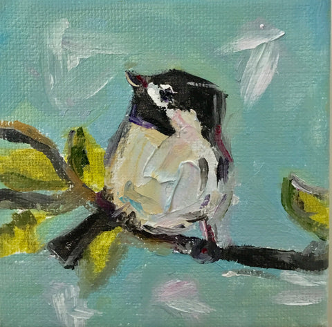 Spring Chickadee