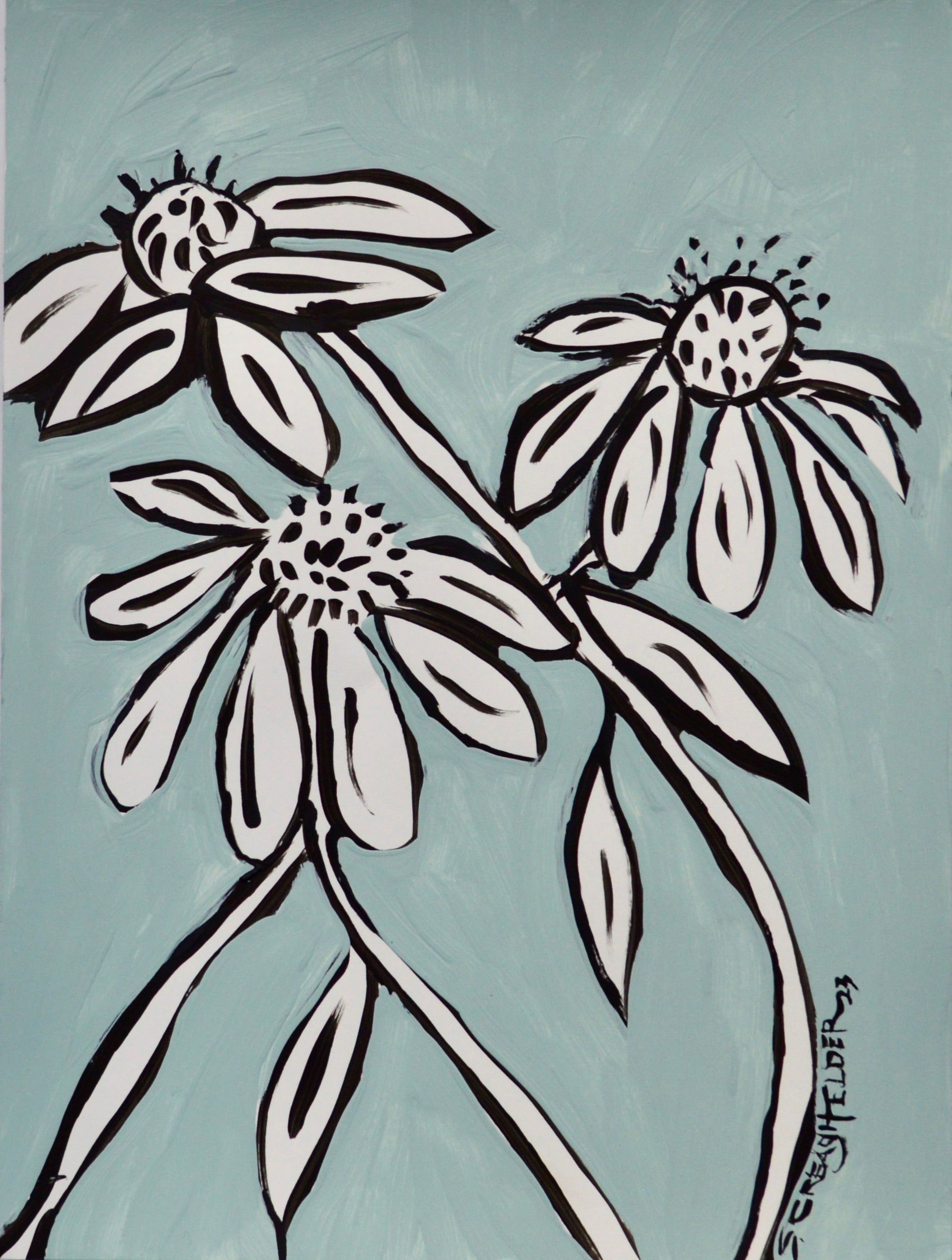 Cone Flowers
