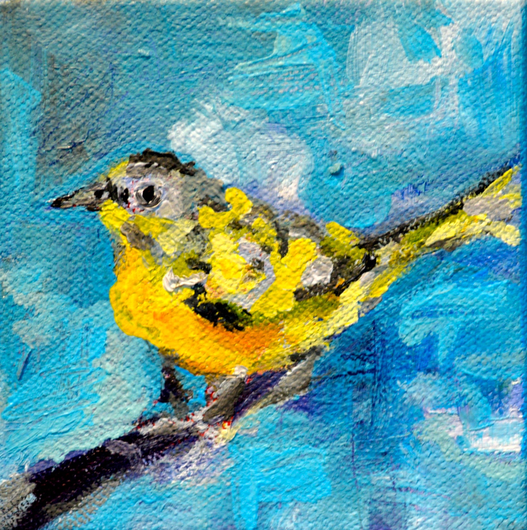 Blue Nash Warbler