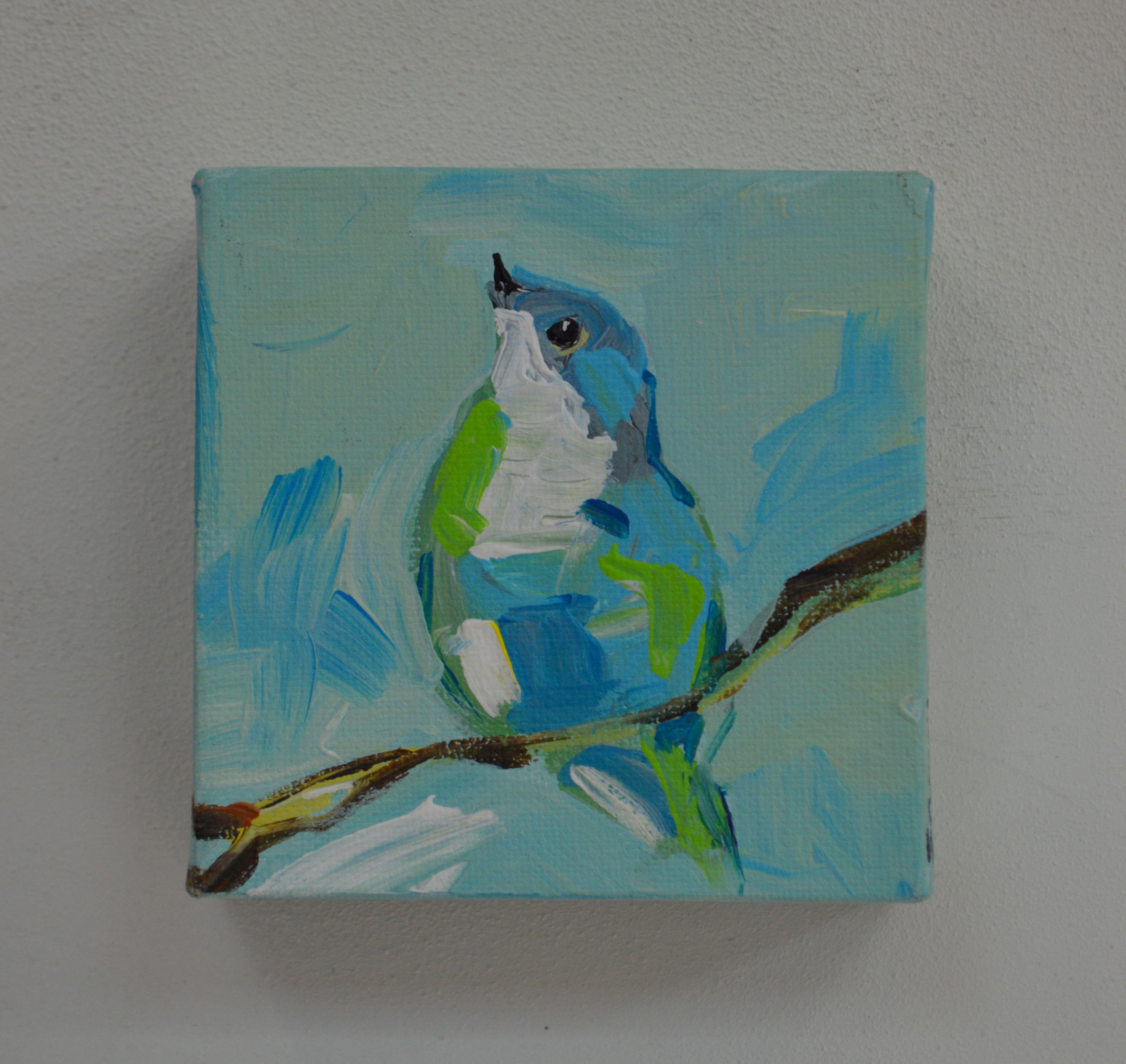 Baby Blue Bird