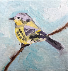 Magnolia Warbler