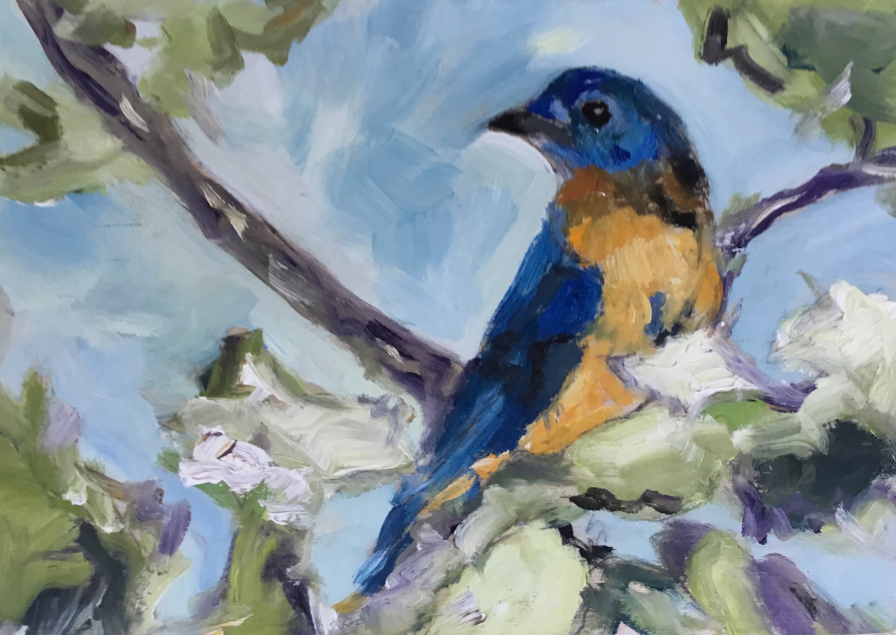 Resting Bluebird