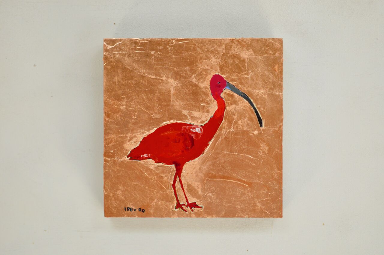 Ibis