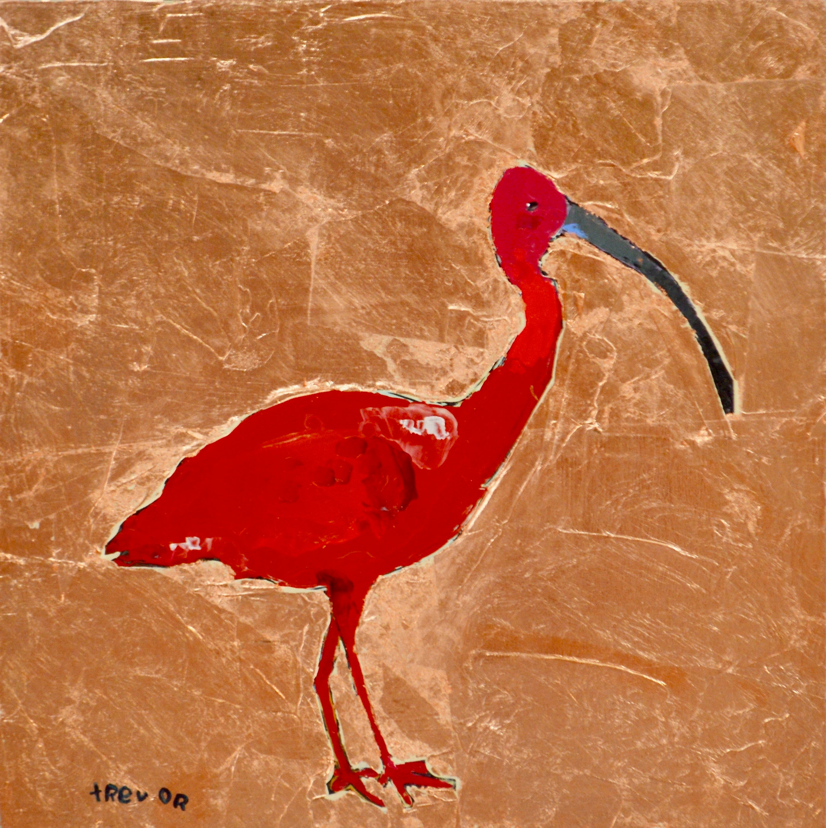 Ibis