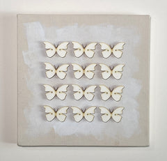 12 Butterflies 2