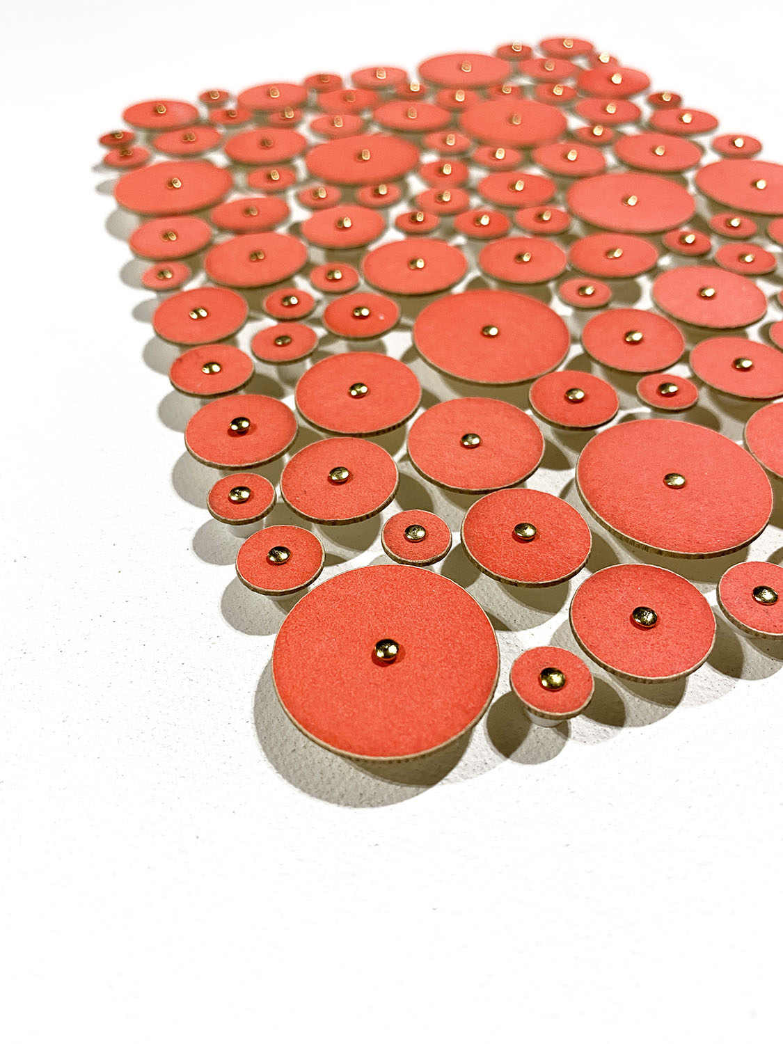 Coral Color Field