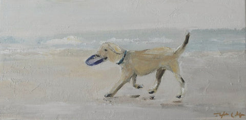 Off Leash